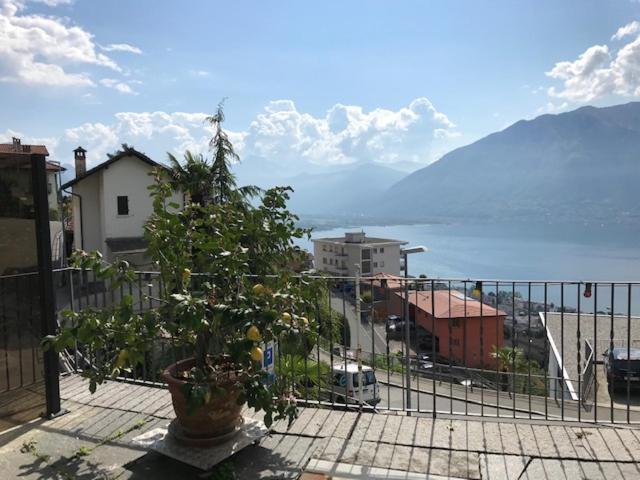 Casa Franceschini Apartment Locarno Bagian luar foto